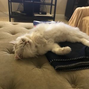 Meet your Posher, James